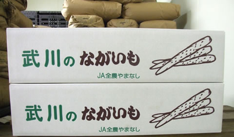 武川町産ながいも（10kg）___B等級